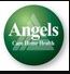 Angels Care Home Health